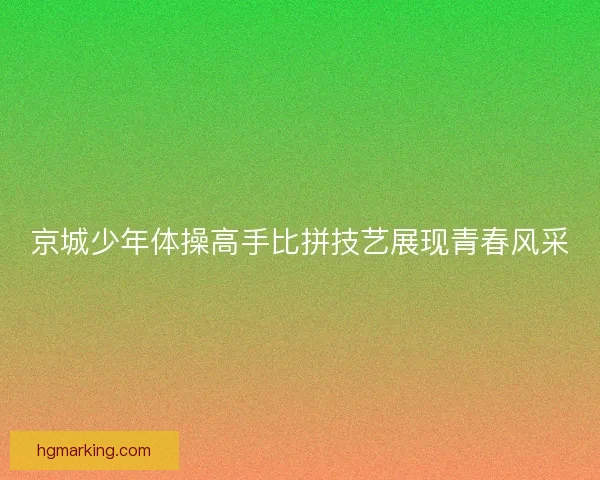 京城少年体操高手比拼技艺展现青春风采