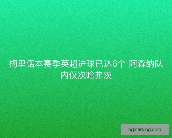 梅里诺本赛季英超进球已达6个 阿森纳队内仅次哈弗茨
