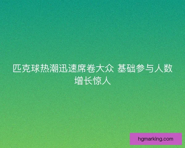 匹克球热潮迅速席卷大众 基础参与人数增长惊人